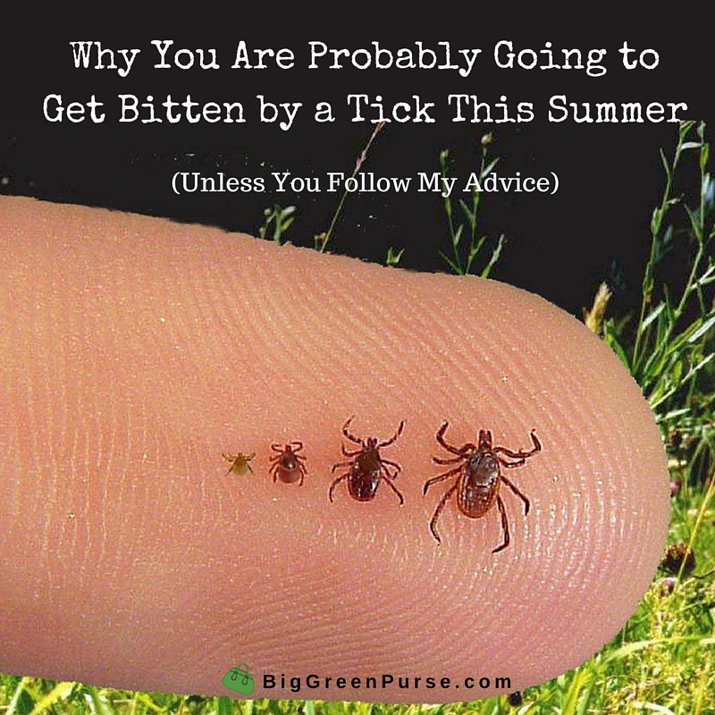 how-to-prevent-a-tick-bite