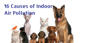 Indoor Air Pollution Causes