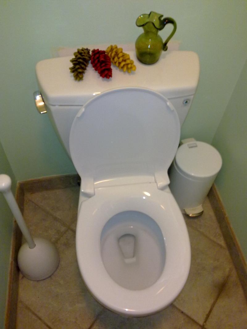 water-saving toilet