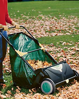 Leaf sweeper