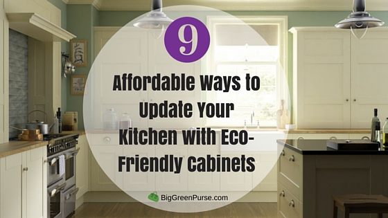 Affordable Ways to Update Your Kitchen with Eco-Friendly Cabinets_blog