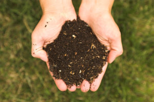compost to reduce food waste