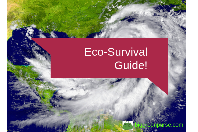 eco friendly hurricane preparedness