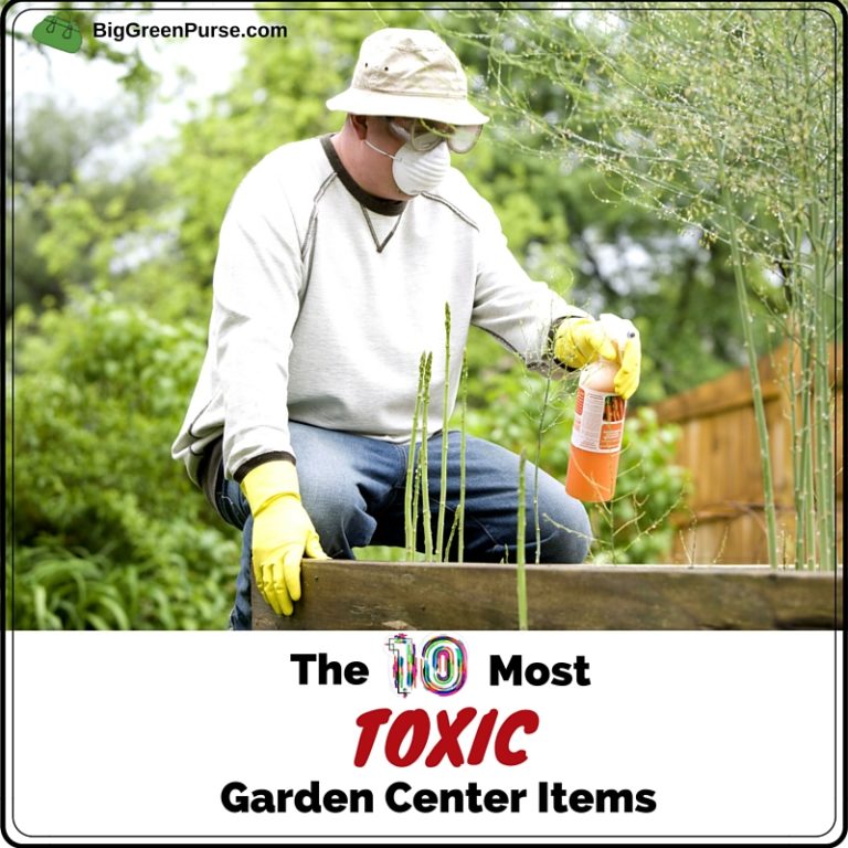 The 10 Most Toxic Items At The Garden Center - Big Green Purse