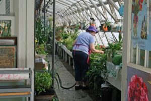 Build Your Own Greenhouse