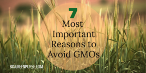 Important reasons to avoid GMOs