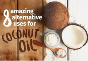 coconut oil alternatives