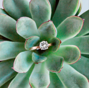 These lab-grown diamonds look beautiful against a cactus.