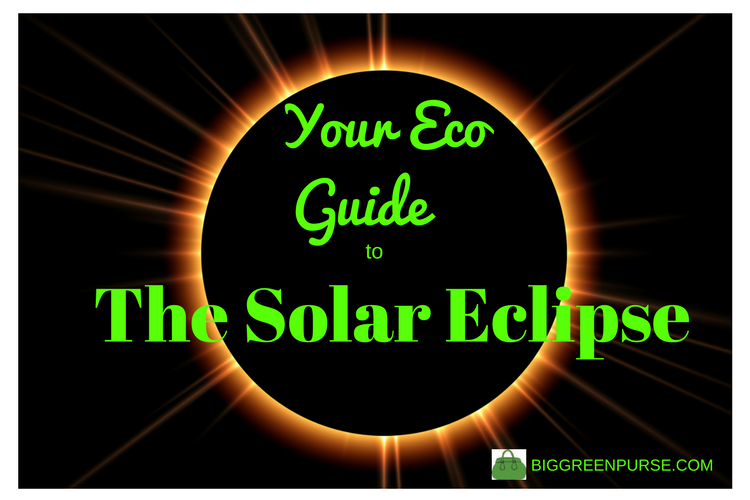 eco guide to the solar eclipse