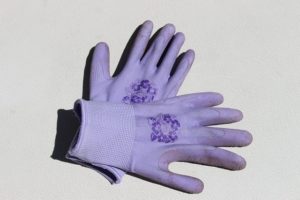 gardening-gloves-363494_640
