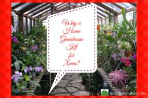 home greenhouse kit