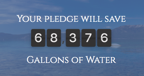 My Water Pledge