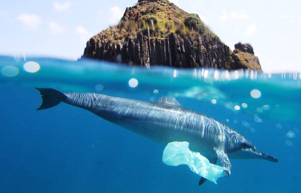 plastic ocean trash