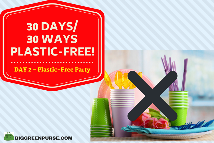 Plastic-free party supplies image shows cups, plates, silverware, napkins and straws.