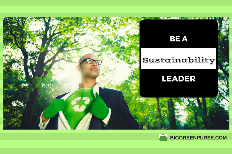 sustainability leader