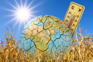 climate change heat wave parches the earth