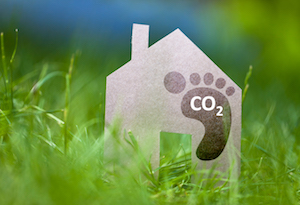 how to cut your carbon footprint
